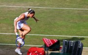 The Championships  Wimbledon 2026